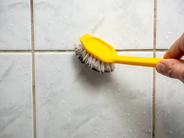Best Preventive Mold Services in Rden City, GA