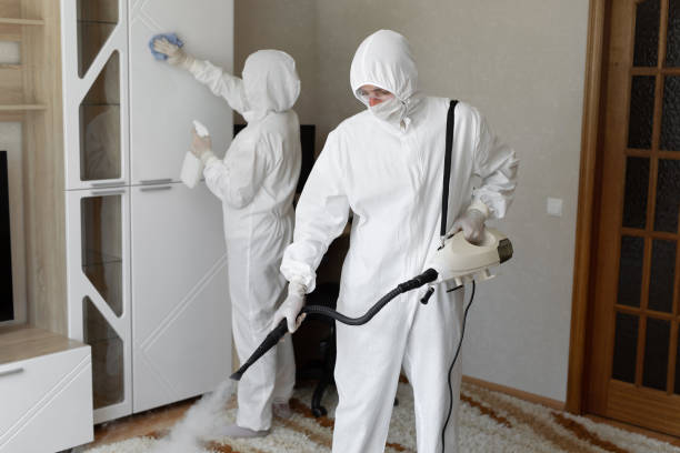 Best Attic Mold Remediation in Rden City, GA